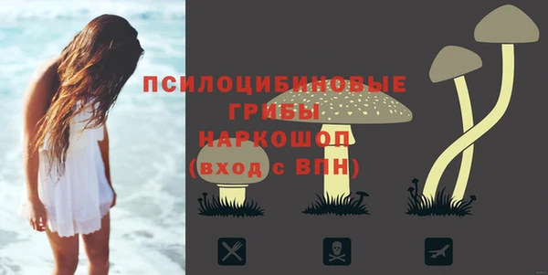 а пвп мука Вяземский