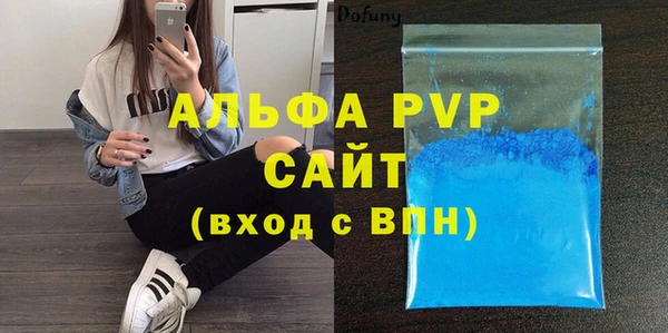 твердый Протвино