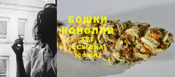 дживик Вязники